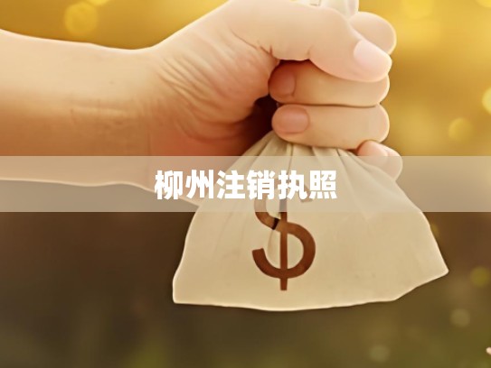 柳州注销执照
