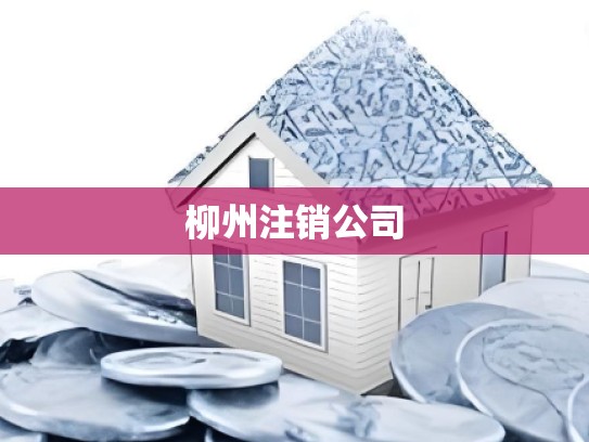 柳州注销公司