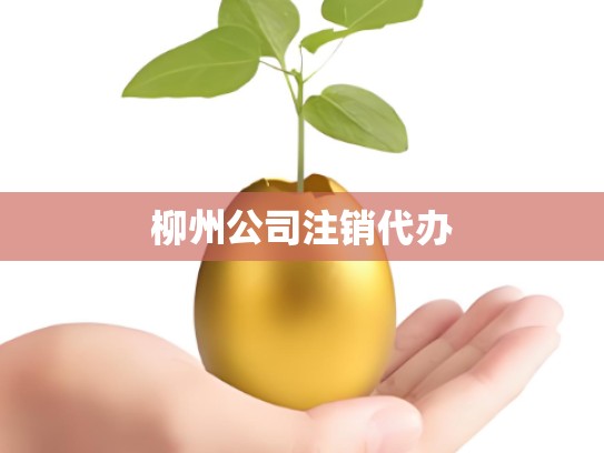 柳州公司注销代办