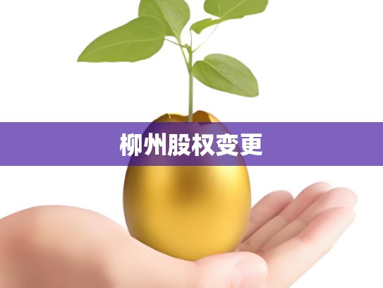 柳州股权变更