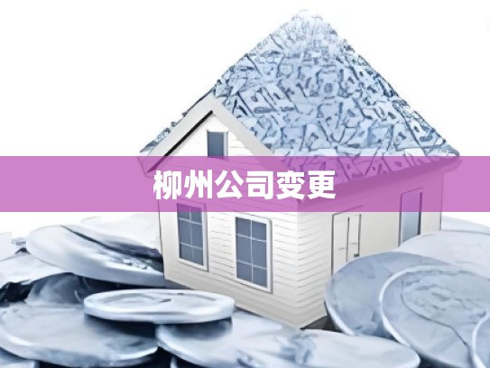 柳州公司变更