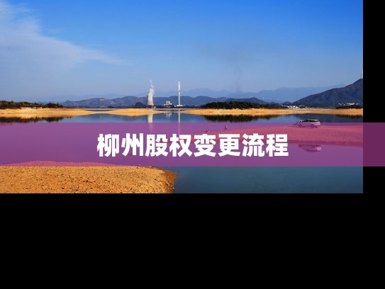柳州股权变更流程