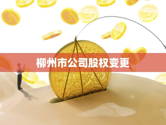 柳州市公司股权变更