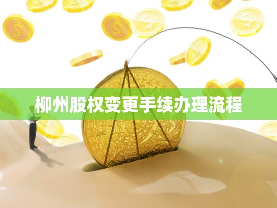柳州股权变更手续办理流程
