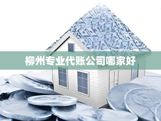 柳州专业代账公司哪家好