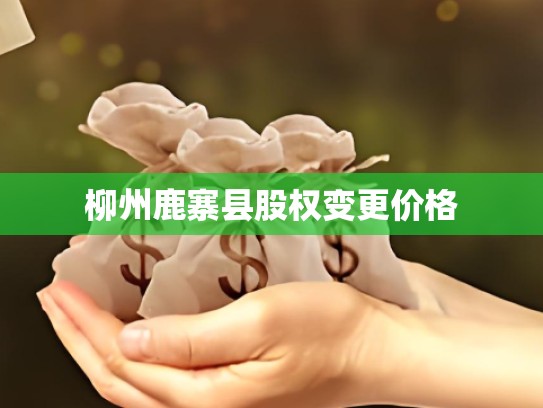 柳州鹿寨县股权变更价格