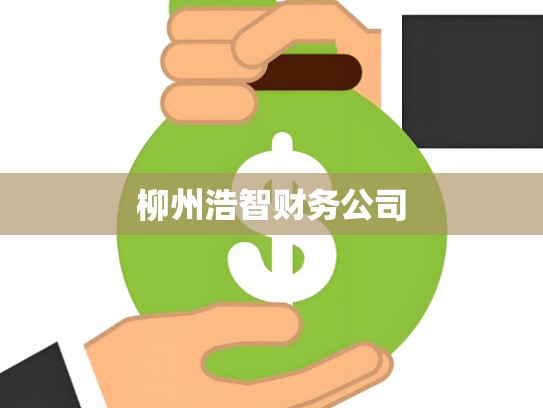 柳州浩智财务公司