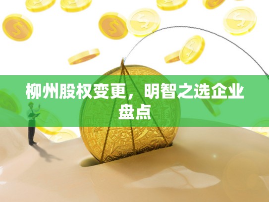 柳州股权变更，明智之选企业盘点
