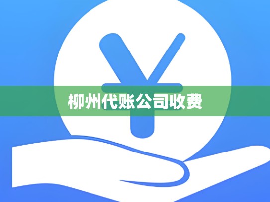 柳州代账公司收费
