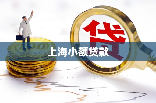 上海小额贷款