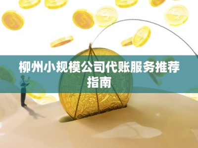 柳州小规模公司代账服务推荐指南