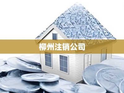 柳州注销公司