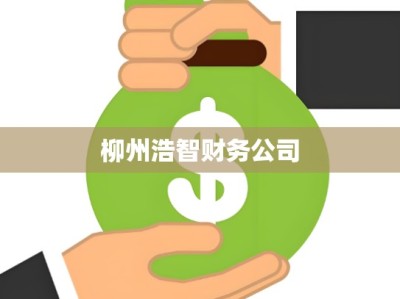 柳州浩智财务公司