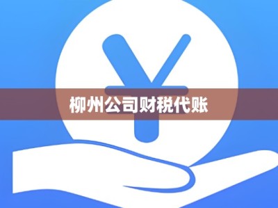 柳州公司财税代账