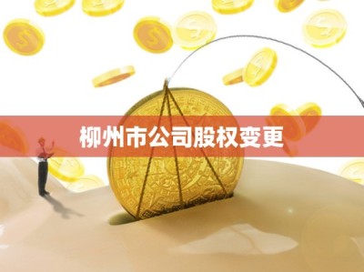 柳州市公司股权变更