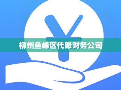 柳州鱼峰区代账财务公司
