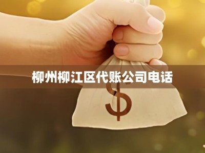 柳州柳江区代账公司电话
