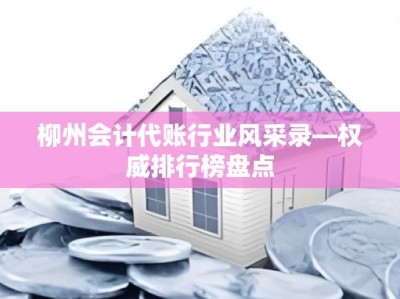柳州会计代账行业风采录—权威排行榜盘点
