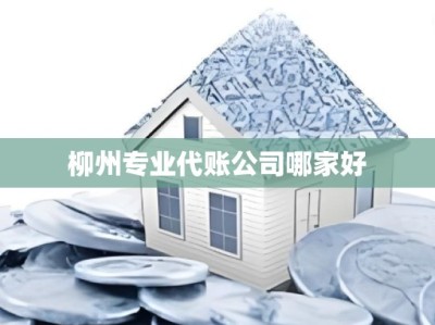 柳州专业代账公司哪家好